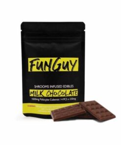 Funguy mushroom chocolate bar